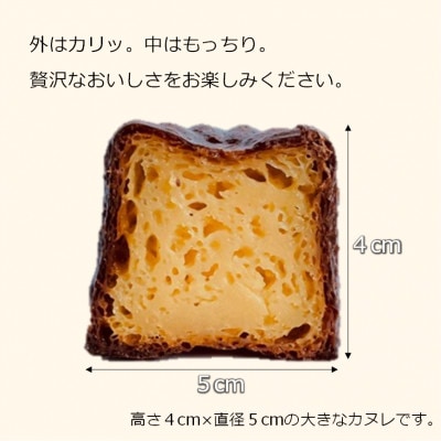 カヌレ 12個　舞鶴抹茶 & プレーン　食べ比べセット Laboratoire