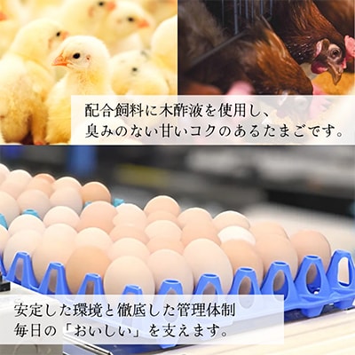 新鮮 丹波の赤たまご 100個(20個×5パック)+割れ保証20個