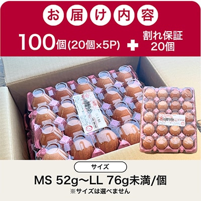 新鮮 丹波の赤たまご 100個(20個×5パック)+割れ保証20個