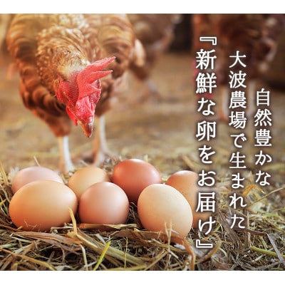 卵 赤たまご 120個