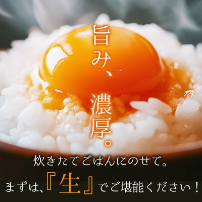 【毎月定期便】卵 40個 赤たまご全12回