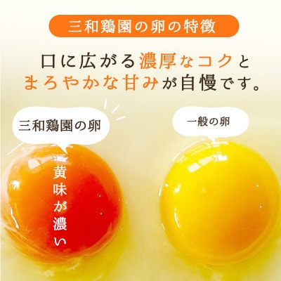 【毎月定期便】卵 40個 赤たまご全12回