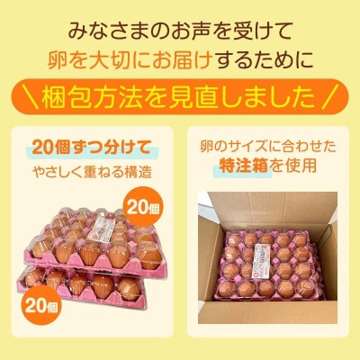 【毎月定期便】卵 40個 赤たまご全12回