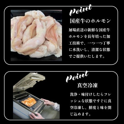 味付けホルモン 600g