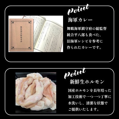 八島丹山ホルモンカレー 10個
