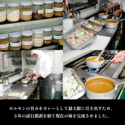 八島丹山ホルモンカレー 10個
