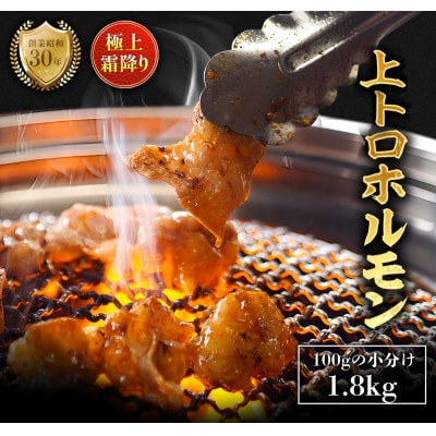 国産 霜降り 上トロホルモン 1.8kg