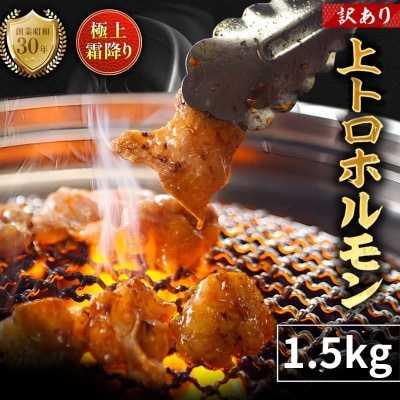 【訳あり】国産牛 霜降り 上トロホルモン 1.5kg