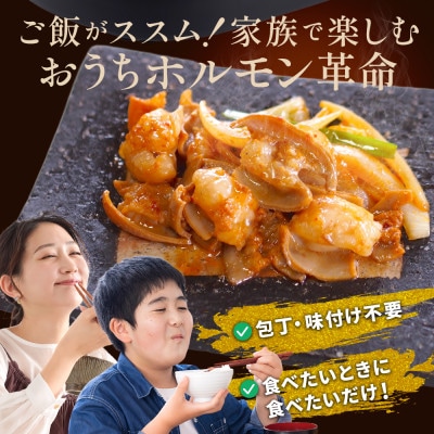 【訳あり】 国産 霜降り 上トロホルモン3kg 京味噌にんにく旨辛味