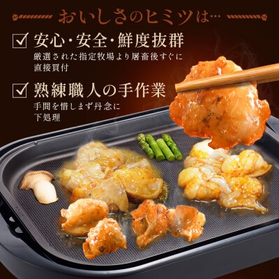 国産霜降り極トロホルモン400g