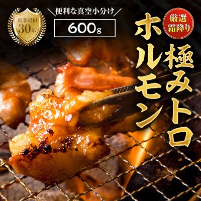 国産霜降り極トロホルモン 600g