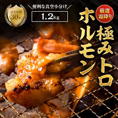 国産霜降り極トロホルモン1.2kg