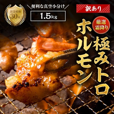【訳あり】国産霜降り極トロホルモン1.5kg
