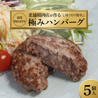 国産無添加ハンバーグ 130g×5個