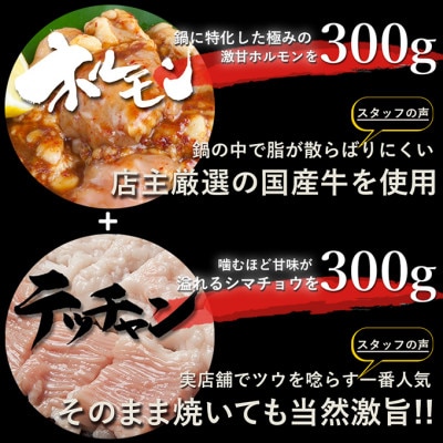 2種もつ鍋セット600g