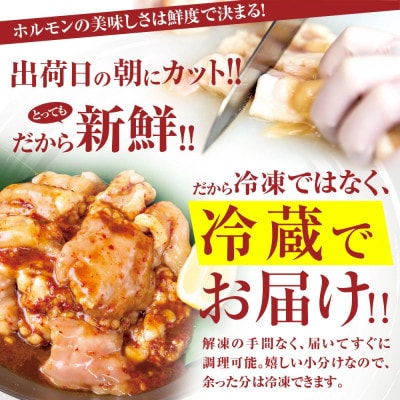 2種もつ鍋セット300g