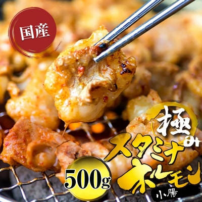 ホルモン牛タレ500g