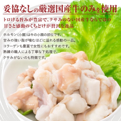ホルモン牛タレ500g