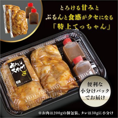 てっちゃんシマ腸1.2kg
