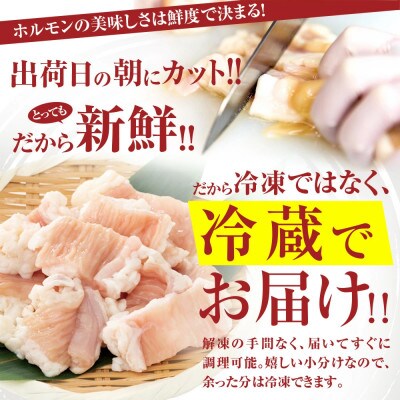 てっちゃんシマ腸1.2kg