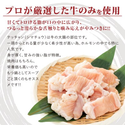 てっちゃんシマ腸1.2kg