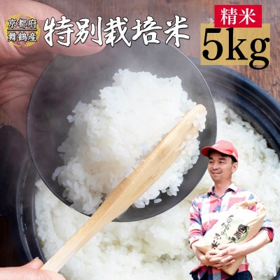 令和8年産 棚田米 5kg 白米 コシヒカリ 特別栽培米 7割削減