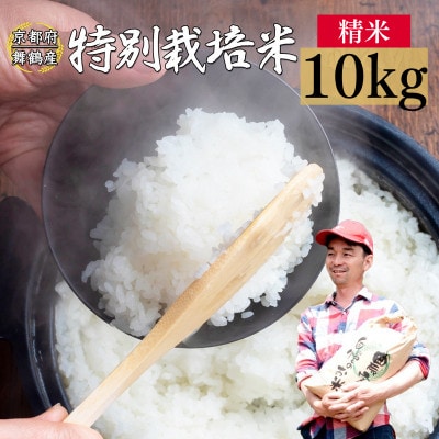 令和8年産 棚田米 10kg 白米 コシヒカリ 特別栽培米 7割削減