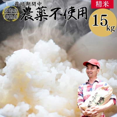 令和8年産 コシヒカリ 棚田米 15kg 精米 栽培期間中農薬不使用