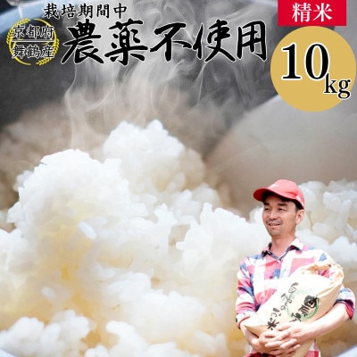 令和8年産 コシヒカリ 棚田米 10kg 精米 栽培期間中農薬不使用