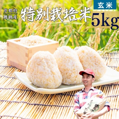 令和8年産 棚田米 玄米 5kg 特別栽培米 7割削減
