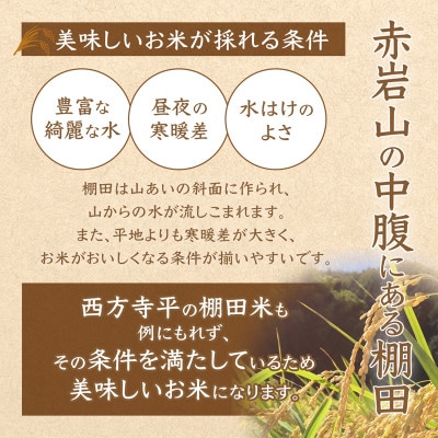 令和8年産 棚田米 玄米 5kg 栽培期間中農薬不使用