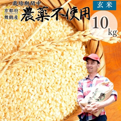 令和8年産 棚田米 玄米 10kg 栽培期間中農薬不使用