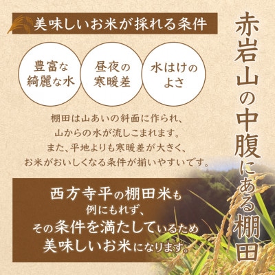 令和8年産 棚田米 玄米 10kg 栽培期間中農薬不使用