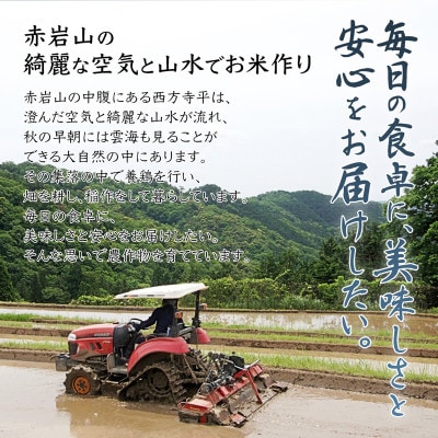 令和8年産 棚田米 玄米 10kg 栽培期間中農薬不使用