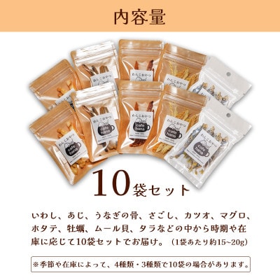 海鮮ジャーキー10袋セット