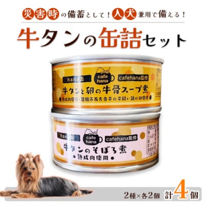 牛タンそぼろ煮・牛タンスープ 2種セット  4個