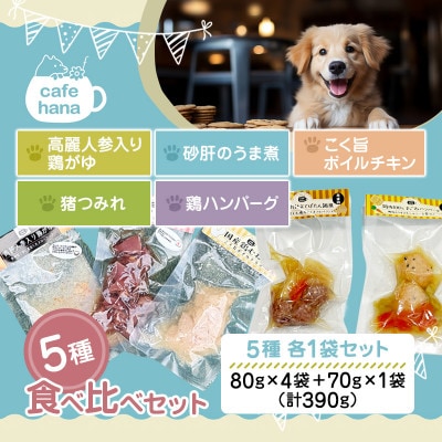 5種食べ比べセット