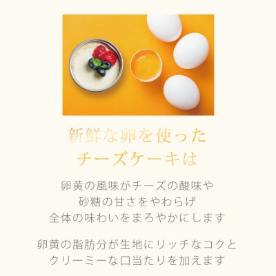 チーズケーキ缶 ブラック チーズケーキ　6缶