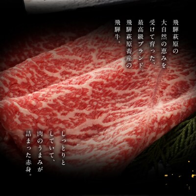  【冷凍】飛騨牛すき焼セット  (肩 200g　もも 300g) 【22-7】