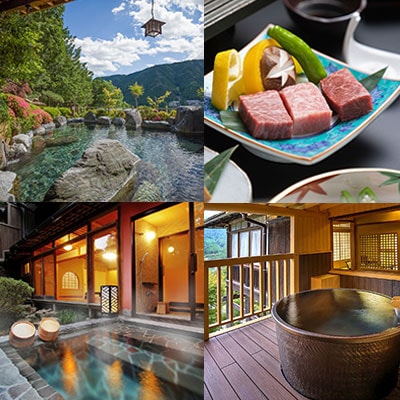 下呂温泉 【湯之島館】宿泊補助券(30,000円分)【a007-1】