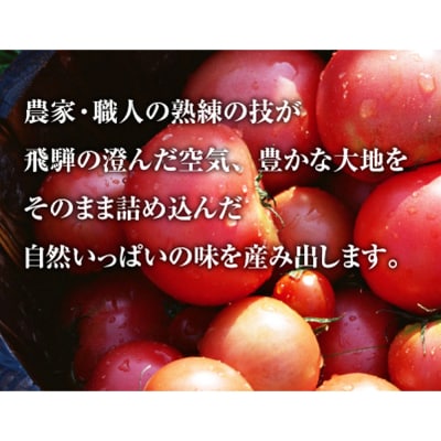 下呂温泉トマトジュースセット(瓶入り 550ml×4本・カートカン入り 125ml×9)【12-1】