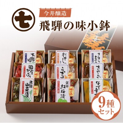 飛騨の味小鉢セット(9種類のお漬物やお惣菜の詰合せ)【3-3】