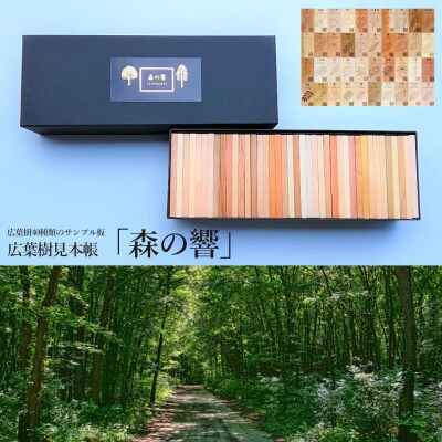 広葉樹見本帳「森の響」(広葉樹40種類のサンプル板 60×110mm(板)40枚)【50-1】