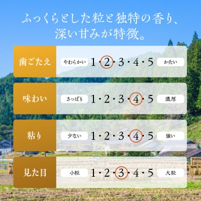 (2026年11月から順次発送)新米【2026年産】コシヒカリ 米 10kg【28-4】