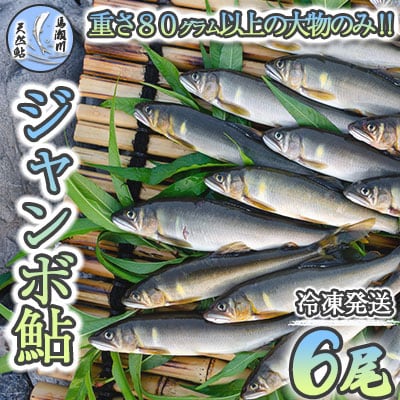 先行受付【ジャンボ鮎】清流が育む天然の馬瀬川鮎 6尾(重さ80g以) 冷凍【26-1】