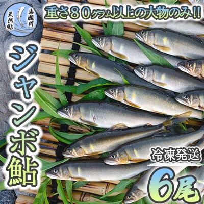 先行受付【ジャンボ鮎】清流が育む天然の馬瀬川鮎 6尾(重さ80g以) 冷凍【26-1】