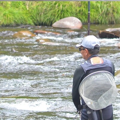 先行受付【ジャンボ鮎】清流が育む天然の馬瀬川鮎 6尾(重さ80g以) 冷凍【26-1】