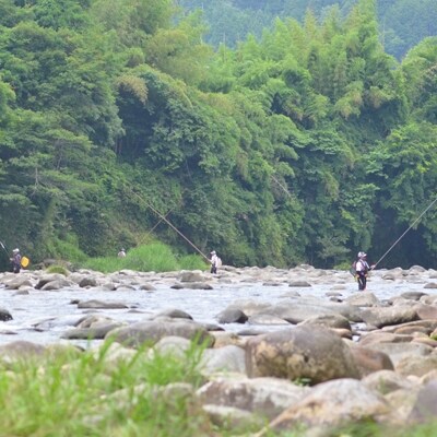 先行受付【ジャンボ鮎】清流が育む天然の馬瀬川鮎 6尾(重さ80g以) 冷凍【26-1】