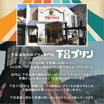 【下呂プリン】厳選詰め合わせセット(プリン6種6個入)【47-2】