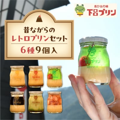 【下呂プリン】昔ながらの固めプリン多め!レトロよくばりセット(6種9個入)【47-6】